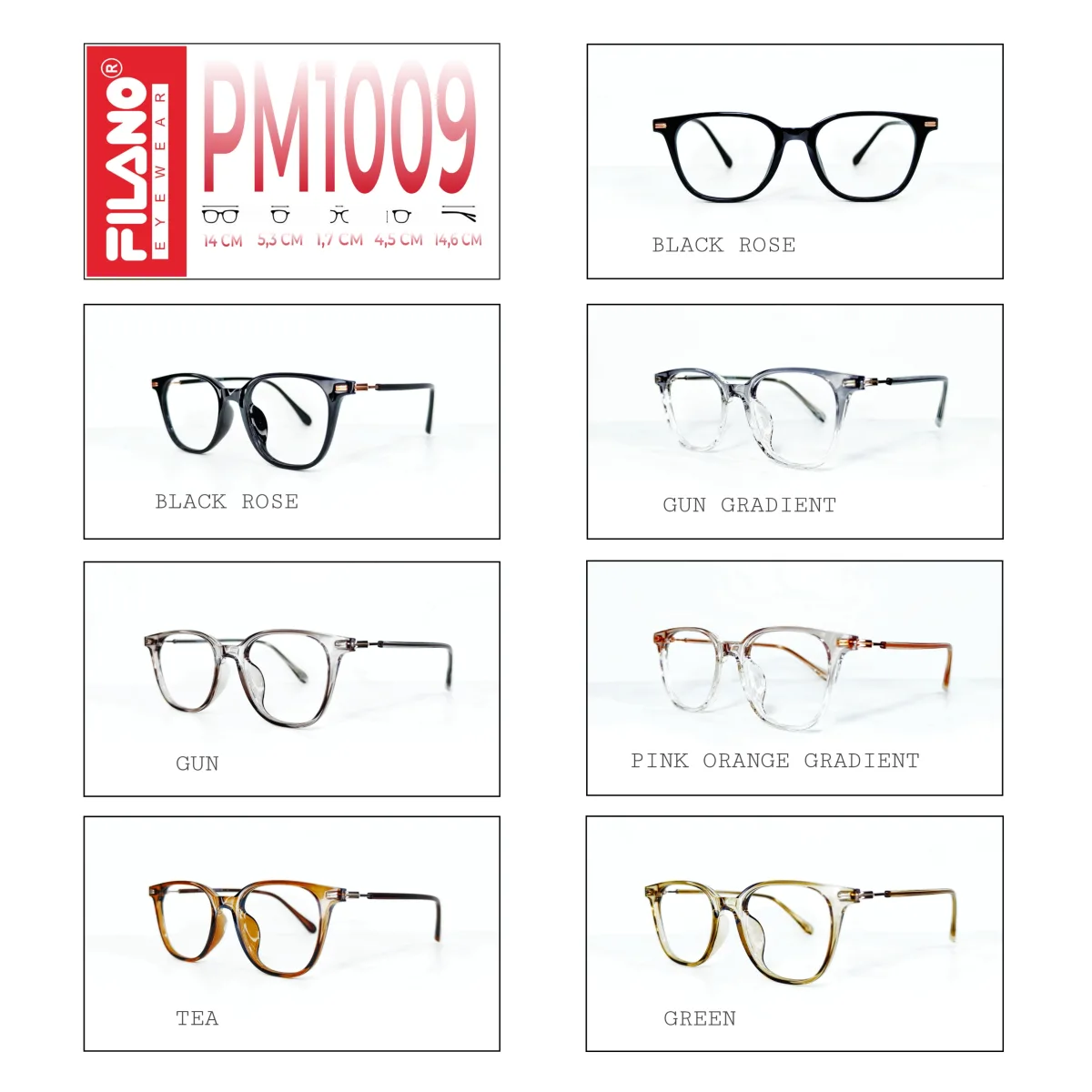 Filano PM1009