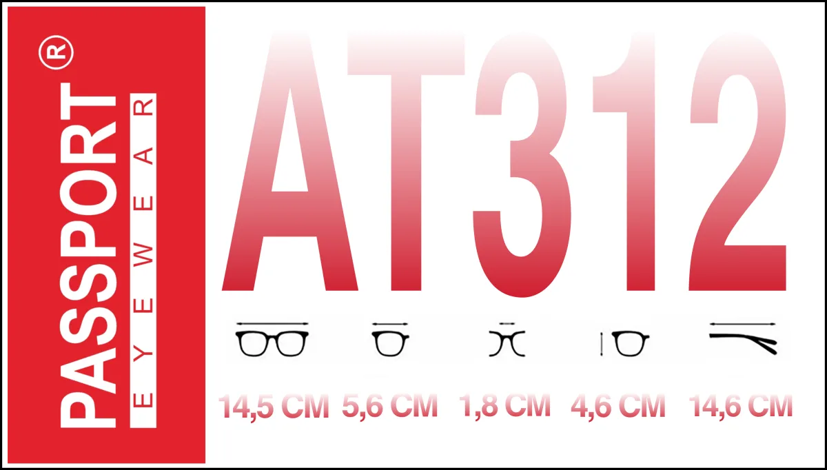 Passport AT312