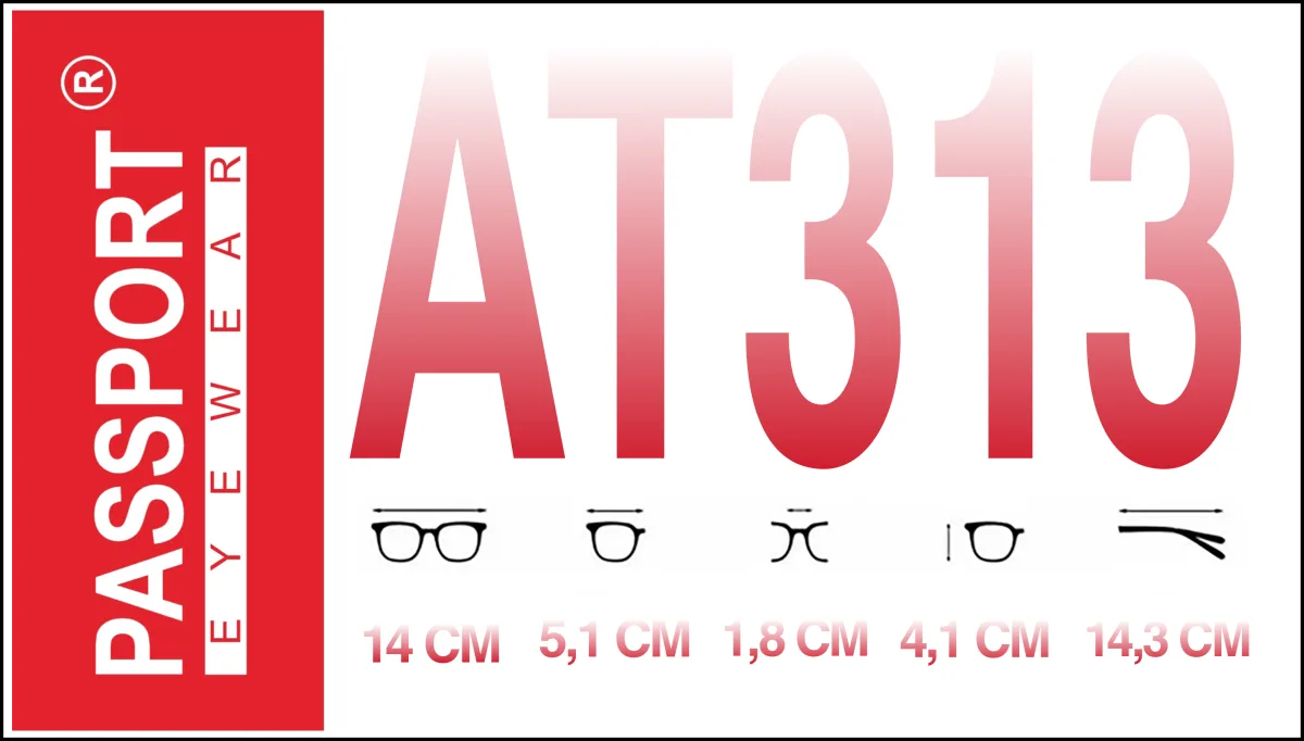 Passport AT313